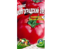 Томат Волгоградский 5/95 пакет 200 семян