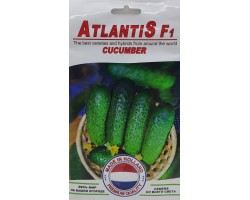 Огурец Атлантис F1  12 семян