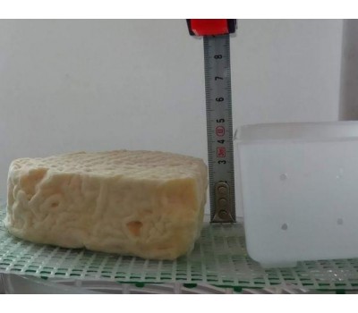 Форма для сыра «Сердце» на 0,35 литра 