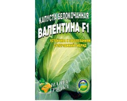 Капуста Валентина урожайная пакет  3 грамм семян