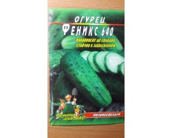 Огурец Феникс 640 пакет 30 семян