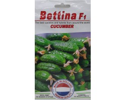 Огурец Беттина F1  10 семян