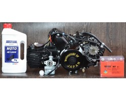 Двигатель на мопед Альфа; Дельта 110 куб, механика + Подарок - масло, карбюратор, аккумулятор