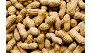 Семена орехов